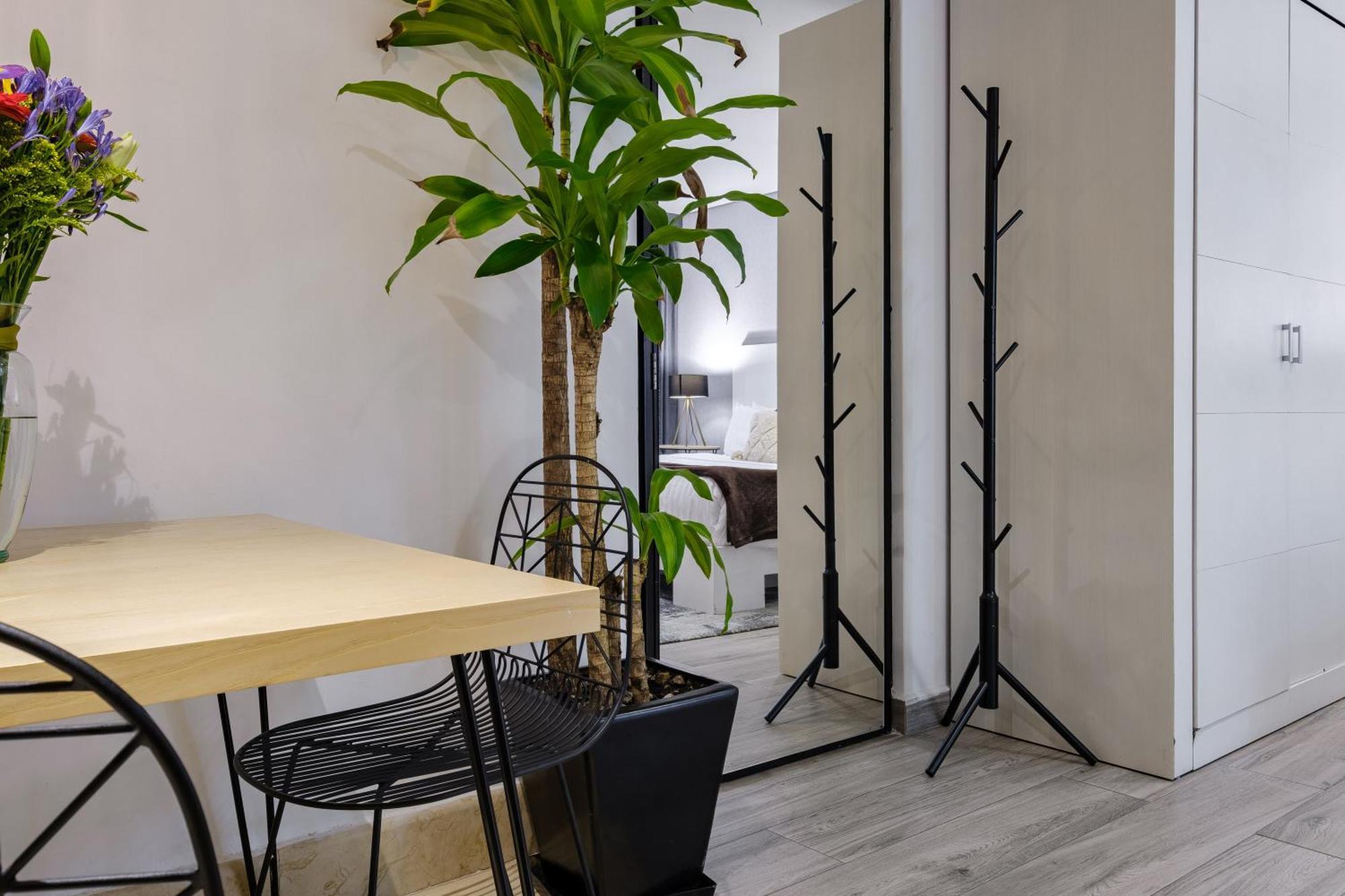 Apartmán Nido Parque Lincoln Ciudad de México Pokoj fotografie